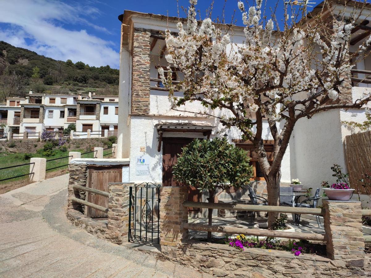 Casa Alpujarrena Fina Numero 27 布比翁 外观 照片