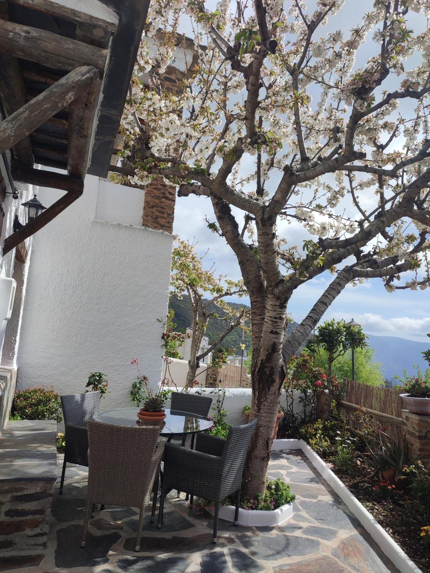 Casa Alpujarrena Fina Numero 27 布比翁 外观 照片